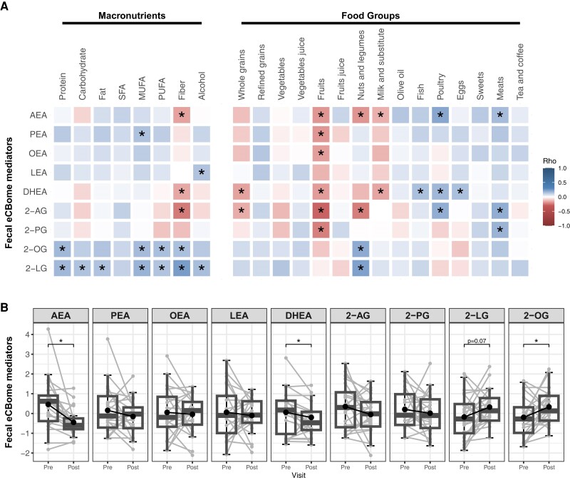Fecal eCBome is modulated by recent dietary intakes. (A) Heatmap representation of Spearman's correlation coefficient of fecal eCBome mediators with macronutrients and food groups intakes (n = 195). *Statistically significant (P < .05). (B) Fecal eCBome mediator levels at the end of the 13-day run-in control diet (Pre) and immediately following the 2-day dietary intervention with high-quality meals reflecting the traditional Mediterranean diet (Post, n = 21). *Statistically significant difference between pre-and postintervention (paired t-test, P < .05).