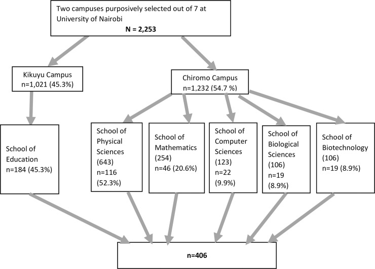 Flow chart of the sampling procedure.