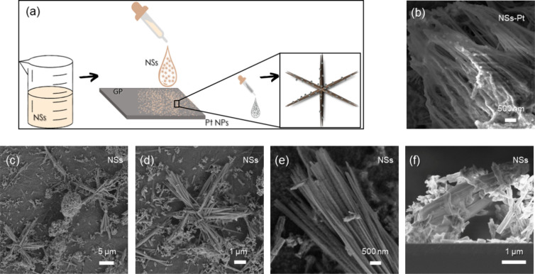 (a) Schematic of electrode preparation; (b) high-magnification SEM image of NSs-Pt; (c) NS SEM images at low, (d) medium, (e) and high magnification; and (f) NS cross section SEM image.