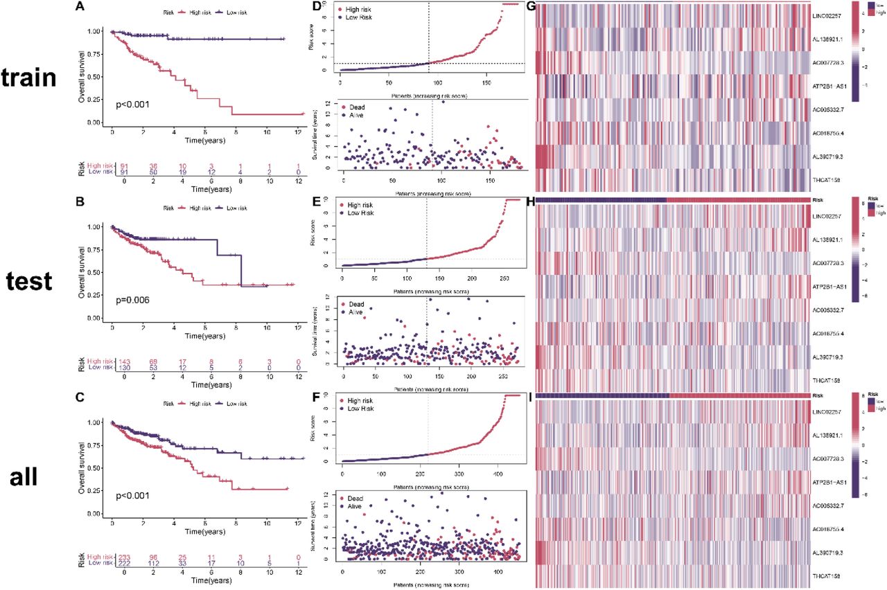 Survival status and risk scores for the total dataset, test set, and training set A-C. Kaplan-Meier survival analysis; D-F. Scatterplots of the distribution of RiskScore values and survival status for colon cancer samples; G-H. Heatmap of differential expression of aging-associated lncRNAs.