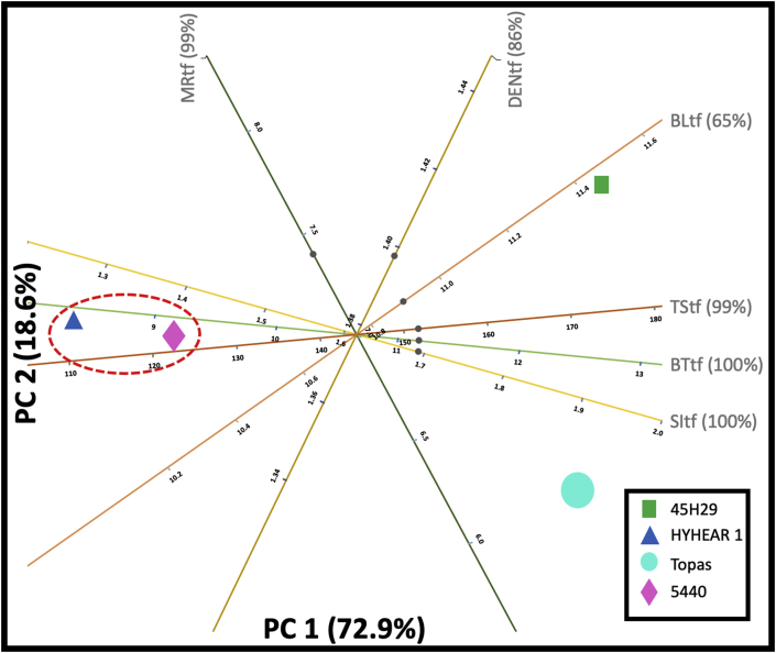 Figure 12