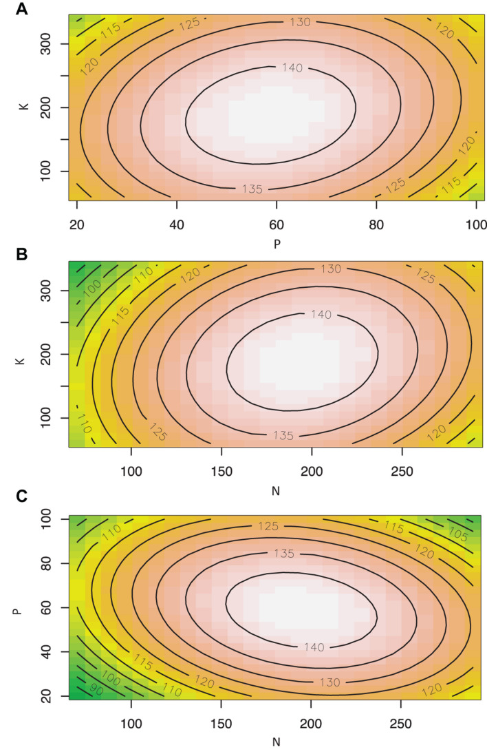 Contour plots showing the effect of nutrient solution N, P, and K concentrations (mg L–1) on inflorescence yield (g/plant) of Cannabis sativa grown in deep water culture (P ≤ 0.05, R2 = 0.57). (A) Contour plot of P vs. K at N = 180 mg L–1. (B) Contour plot of N vs. K at P = 60 mg L–1. (C) Contour plot of N vs. P at K = 200 mg L–1.