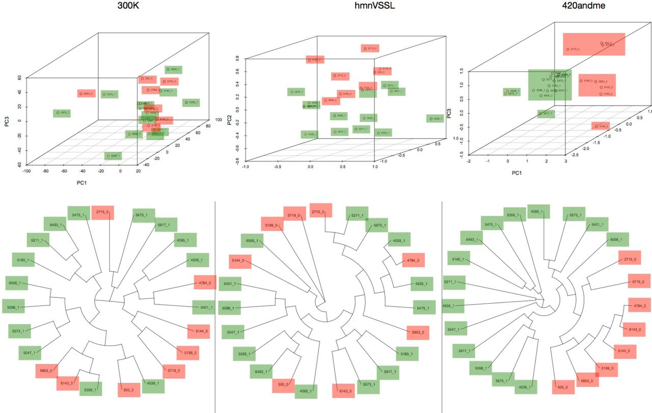 3D Principal Componenet Analysis and Neighbor-Joining trees shown for each of the three datasets: - genome-wide 300 thousand SNPs, - hmnVSSL - 15 SNPs in the endocannabinoid system, - 420andme - 45 SNPs associated with affinity to cannabis phenotypes. One can appreciate the performance of the 420andme dataset in teasing apart human-cannabis affinity phenotypes. Green indicates an individual with a positive affinity for cannabis, whereas red indicates a negative response to cannabis use.