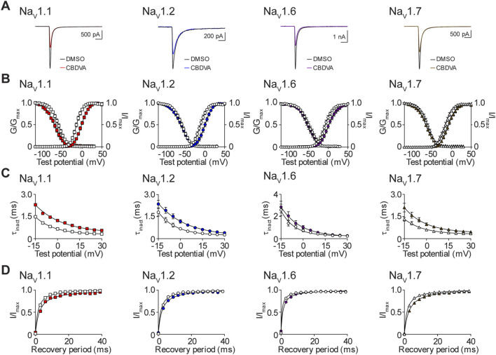 Biophysical effects of CBDVA on the NaV1.1, NaV1.2, NaV1.6 and NaV1.7 channels. (A) Representative current traces in the presence of vehicle DMSO () or IC50 concentrations of CBDVA for each channel (NaV1.1: 50 μM ; NaV1.2: 60 μM ; NaV1.6: 24.1 μM ; NaV1.7: 60 μM ). (B) Voltage-dependence of normalized peak conductance (G/Gmax) and SSFI (I/Imax) in the presence of vehicle DMSO (open symbol) or IC50 concentration of CBDVA for NaV1.1 (; n = 12), NaV1.2 (; n = 18), NaV1.6 (; n = 11), or NaV1.7 (; n = 23). Boltzmann curves were fitted to pooled averages of peak conductance. (C) Time constant of steady-state fast inactivation (τinact), as a function of voltage, in the presence of DMSO vehicle (open symbols) or IC50 concentration of CBDVA for each channel (closed symbols). (D) Recovery of channel availability from fast inactivation as a function of time, in the presence of DMSO vehicle (open symbols) or IC50 concentration of CBDVA (closed symbols) for each channel. Data points are mean ± SEM of independent cells.