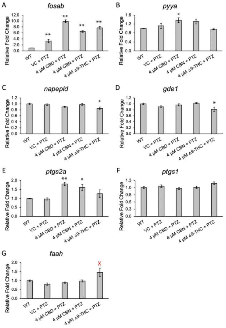 qPCR expression analysis of seizure markers and endocannabinoid system genes. (A–G) Methanol was used as the vehicle control, with 4 µM cannabinoid doses of cannabinoids used. Significance is noted via one-factor ANOVA with Tukey HSD, * p < 0.05, ** p < 0.01 (compared to WT). Red (X) indicates significance from PTZ/VC-treated larvae (p < 0.05). Error bars are SEM.