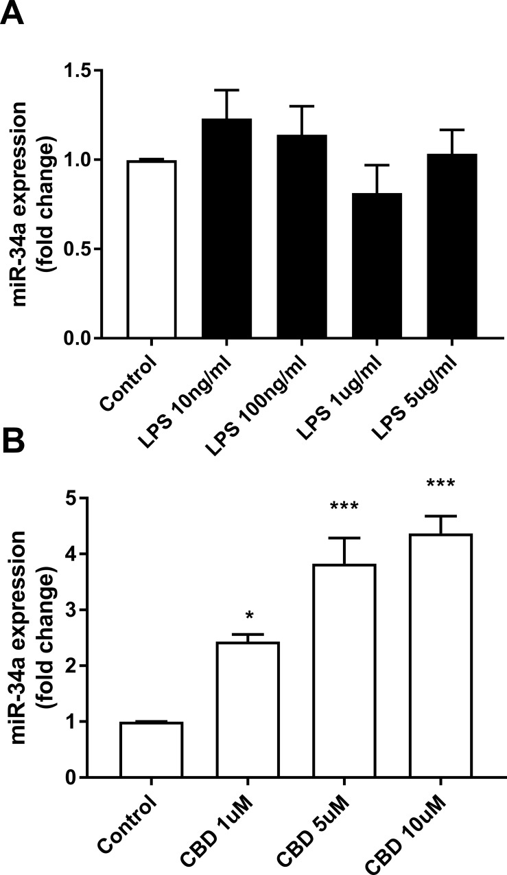 miR-34a expression is not affected by LPS, but upregulated by CBD.Cells were treated for 4 h with the indicated concentrations of LPS or for 6 h with the indicated concentrations of CBD. Cells were harvested and miRNA extracted for qPCR analysis. qPCR data were plotted as the mean ± SEM of three to four independent experiments. (A) One-way ANOVA F(4,10) = 1.339 not significant; (B) one-way ANOVA F(3,8) = 28.12 p < 0.001. Tukey multiple comparison post hoc test: *p < 0.05 and ***p < 0.001 vs. control.