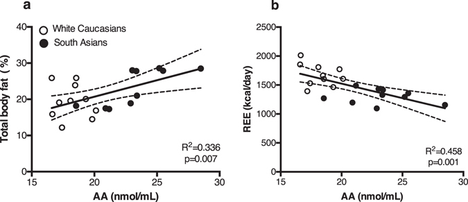 Thermoneutral plasma AA levels positively correlate with body fat percentage and negatively correlate with resting energy expenditure. Scatterplot of the correlations between plasma AA levels measured at thermoneutrality and total body fat percentage (a) or thermoneutral resting energy expenditure (REE) (b) (n = 20). Correlations are shown for the total group combined, black circles are South Asian individuals and white circles are white Caucasian individuals, with 95% confidence limits. Correlations were analysed using linear regression analysis.