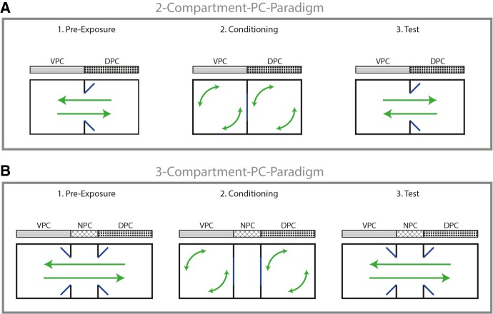 Schematic illustration of the PC paradigm. (A) 2-compartment apparatus. (B) 3-compartment apparatus. Conditioned place preference (CPP) is established by either significantly more time spent in the drug-paired compartment (DPC) after conditioning than before (i.e., test versus preexp. DPC) or significantly more time spent in the DPC than in the vehicle-paired compartment (VPC) during test (i.e., DPC versus VPC). Conditioned place aversion (CPA) is operationalized by either significantly less time spent in the DPC after conditioning than before (i.e., test versus preexp. DPC) or significantly less time spent in the DPC than in the VPC during test (i.e., DPC versus VPC). In a three-compartment setting, the time spent in the nonpaired compartment (NPC) is in most studies not included into the measurement of a CPP or CPA.