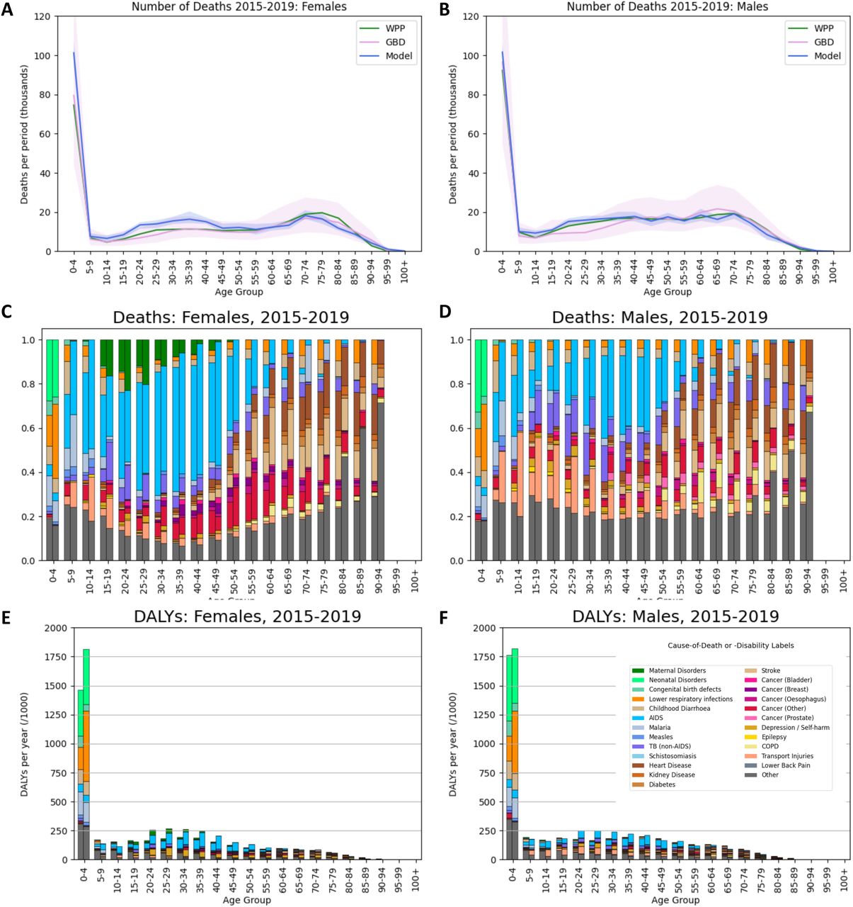 The burden of diseases in model projections in the period 2015-2019.(A & B) The total number of deaths by age-group in the model (blue line with shaded 95% uncertainty interval) and in the estimates by the Global Burden of Disease (GBD; pink line with shaded uncertainty interval) and World Population Prospect (WPP; green line with shaded uncertainty interval) for females (A) and males (B). (C & D) The causes of death by five-year age-group in the model (right-hand bars) and in the estimates by GBD (left-hand bars) for females (C) and males (D). Each bar shows the fraction of deaths in that age/sex group that is attributed to each cause, and ‘Other’ means causes that are not represented mechanistically in this model. (E & F) The DALYS incurred for each cause by five-year age-group in the model (right-hand bars) and in the estimates by GBD (left-hand bars) for females (E) and males (F). For panels C-F, the colour-coding of the causes is given in the legend inset in (F).