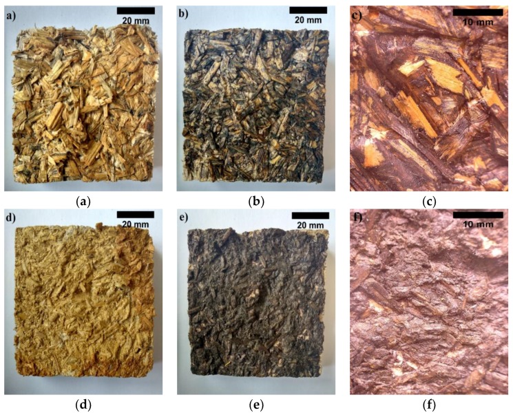 View after tensile test when the BcB are obtained from (magnification ×10): (a) non-shredded HS without CS; (b) non-shredded HS and 10 wt.% of CS; (c) non-shredded HS and 10 wt.% of CS (magnification ×10) (d) shredded HS without CS; (e) shredded HS with 10 wt.% of CS; (f) shredded HS and 10 wt.% of CS.