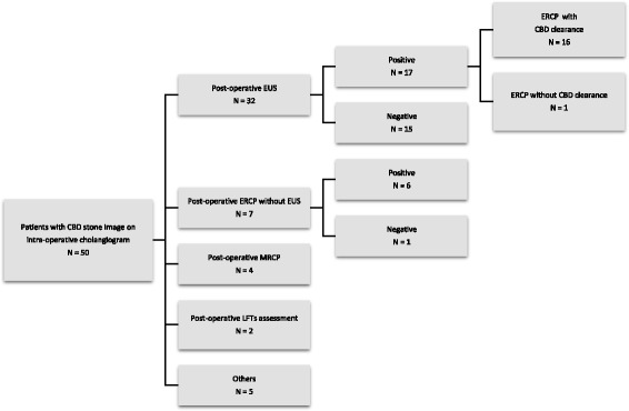Management of patients with a CBD stone image on intra-operative cholangiogram. CBD Common Bile Duct, LFTs Liver Function Tests, EUS Endoscopic Ultrasound, ERCP Endoscopic Retrograde Cholangiopancreatography, MRCP Magnetic Resonance Cholangiopancreatography