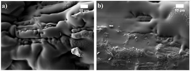 Solid tung tree oil on hemp shives aggregate at hardening temperature: (a) 90 °C and (b) 120 °C (magnification 1000×).