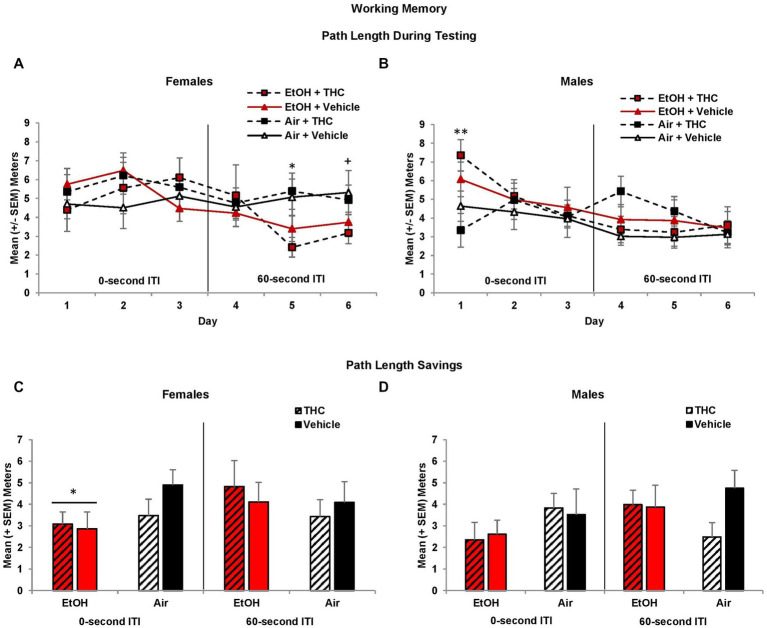 Male offspring exposed to prenatal alcohol exposure traveled longer path lengths on the first day of testing (B), whereas female offspring with prenatal alcohol exposure traveled shorter path lengths during the latter 60-s ITI test trials (A). However, offspring prenatally exposed to alcohol had less memory savings between the training and test trials, an effect driven by the female offspring (C,D). *EtOH < no EtOH, p’s < 0.05; **EtOH > no EtOH, p < 0.05; +EtOH < no EtOH, p = 0.06.