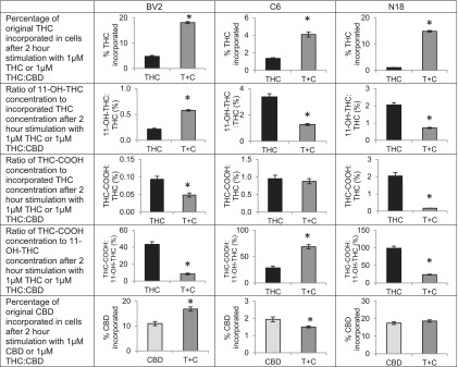 Effects of combining Δ9-tetrahydrocannabinol (THC) and CBD on THC and CBD incorporation and THC metabolism in BV2, C6, and N18 cells. BV2, C6, and N18 cells were either stimulated with 1 μM THC (black bars) or 1 μM THC:CBD (dark gray bars) and the proportion of THC added to each flask that remained incorporated in the cells after the 2 h stimulation was calculated, averaged, and compared between the single treatment and the combined treatment. Graphs comparing these percentages of incorporated THC are shown on the first row of Figure 3. The y axis is expressed as the mean percentage of drug incorporated, and error bars are±standard error. “*” indicates a significant difference between groups. For all three cell lines, levels of THC incorporated increased when combined with CBD. The ratio of concentrations of incorporated THC metabolites, 11-OH-THC and THC-COOH, to concentrations of incorporated THC at 2 h was calculated and shown in rows 2 and 3, and the ratio of incorporated THC-COOH concentration to incorporated 11-OH-THC concentration is shown in row 4. Bar graphs are these average ratios expressed as a percentage, and the error bars are±standard error. “*” indicates a significant difference between groups of p<0.05. The ratio of 11-OH-THC to THC was higher in BV2 cells but lower in C6 and N18 cells when combined with CBD. The ratio of THC-COOH to THC was lower in BV2 and N18 cells but did not significantly differ in C6 cells. The ratio of THC-COOH to 11-OH-THC was lower in BV2 and N18 cells and was higher in C6 cells when THC and CBD were coadministered. The bottom row of figure examines the percentage of CBD incorporated in cells. BV2, C6, and N18 cells were either stimulated 1 μM CBD (light gray bars) or 1 μM THC:CBD (dark gray bars) and the proportion of CBD added to each flask that remained incorporated in the cells after the 2 h stimulation was calculated, averaged, and compared between the single treatment and the combined treatment. The y axis is expressed as the mean percentage of drug incorporated, and error bars are±standard error. “*” indicates a significant difference between groups. The effects of the combination treatment on levels of incorporated CBD at 2 h varied by cell line. See Supplementary Methods for more detail on how values in figure were calculated.