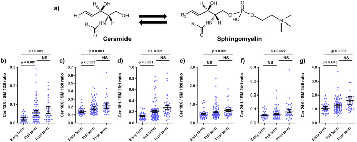 The ceramide to sphingomyelin ratio increased with gestational period.(a) General structure for ceramides and sphingomyelins belonging to the non hydroxylated fatty acid/sphingosine backbone (NS) sphingolipid class. (R1 = fatty acid alkyl chain; R2 = (CH2)12CH3)). (b–g) levels for specific R1 chain lengths according to the gestational period. Early term = 36–38 weeks, Full term = 39–40 weeks and post term = 41–42 weeks. Bonferroni corrected p-values corresponding to the linear regression of gestational period adjusted for lifestyle of the mother and gender of the baby are presented. Each point represents an individual. The arithmetic mean with 95% confidence intervals is presented.