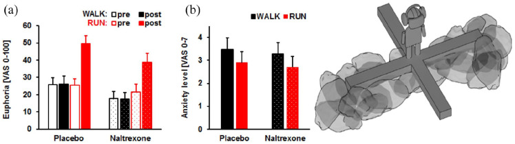 (A) Euphoria levels increase in the running (RUN) compared to walking (WALK) condition in the placebo (n = 31) and naltrexone-treated (n = 32) groups. (B) Anxiety levels on the human elevated plus-maze are lower after RUN compared to WALK in both groups (NAL vs. PLA). Columns represent Means + SEM. The left panels are reprinted from Siebers and others (2021), with permission from Elsevier. The right panel shows a schematic depiction of the human EPM adapted from Biedermann and others (2016).