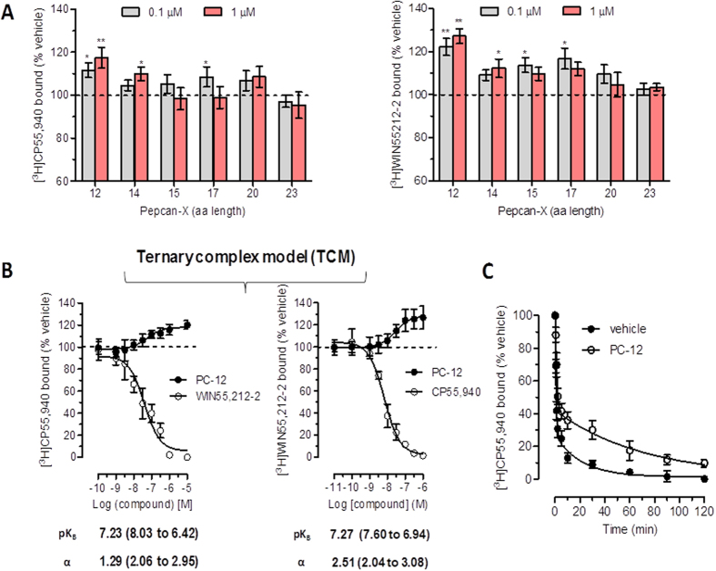 Pepcan binding to hCB2 receptors increases binding of orthosteric ligands and positive cooperativity. (A) Pepcan-mediated enhancement of [3H]CP55940 and [3H]WIN55212-2 binding, respectively, to stably transfected hCB2 receptor CHO-K1 cell membranes at 100 nM and 1 µM. (B) Concentration-dependent potentiation of radioligand binding by pepcan-12 (PC-12) versus mutual competition by the orthosteric ligands showing pKB values and the cooperativity factor α. (C) Isotopic dilution in which 1 μM of CP55,940 was added to the CB1 receptor-bound [3H]CP55,940 in the presence of 300 nM pepcan-12 or vehicle. Data show mean values ± SEM of at least six independent experiment. *p < 0.05 vs. vehicle (two-tailed student t-test).