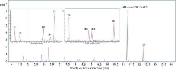 Overlaid extracted ion chromatograms (EIC) from human hepatocytes (HHep) of ADB‐4en‐P‐5Br‐INACA and all its identified metabolites marked with the corresponding metabolite IDs.