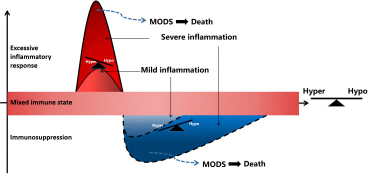 Sepsis is a process of inflammatory imbalance. multiple organ dysfunction syndrome (MODS), multiple organ dysfunction syndrome; Hyper, hyper-inflammatory; hypo-inflammatory.