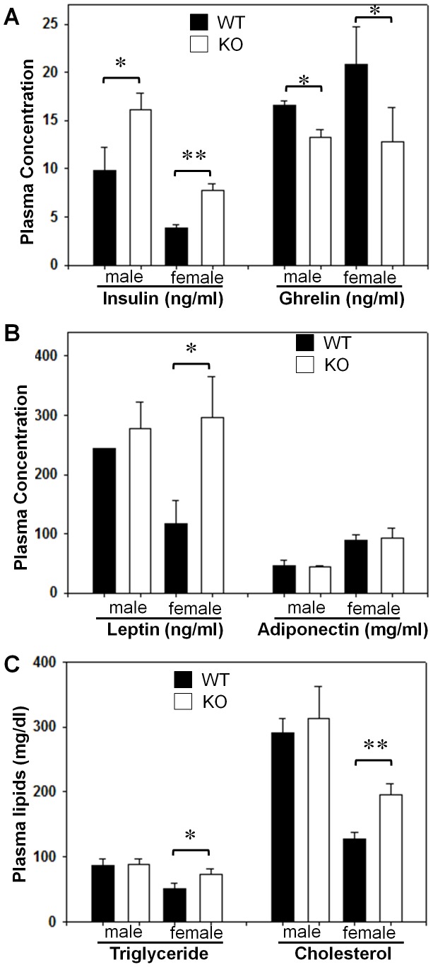 GPR26 deficiency exacerbates hyperinsulinemia and dyslipidemia associated with obesity.After 12-weeks of high-fat diet, GPR26 knockout mice (KO) and wild type littermates (WT) were fasted overnight and blood samples were collected into a tube that contained heparin and EDTA on ice. (A–B), circulating levels of insulin, ghrelin, leptin, and adiponectin were analyzed by Linco Research service. (C), the concentrations of plasma triglyceride and cholesterol were determined using the Roche/Hitachi 912 automatic analyzer system. N = 8, *p<0.05, **p<0.01 when compared with wild type controls.