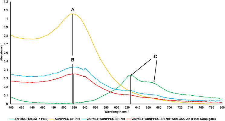 Spectral analysis of the FNBC and its components within the 400 to 800 nm spectral range.(A) AuNPEG500-CSH-NH 520 nm 2.85 × 1015 particles/ml, (B) FNBC 520 nm 0.95 × 1015 AuNP particles/ml (2.99 fold fall) and (C) ZnPcS4 634 and 674 nm 125 μm in PBS, whereas th FNBC is 35 μM ZnPcS4 concentration (3.54 fold fall).