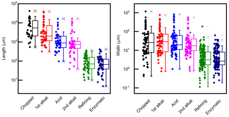 Boxplots of the lengths and widths of the hemp fibers after each pretreatment step. The measured data points are shown close to the corresponding boxes.