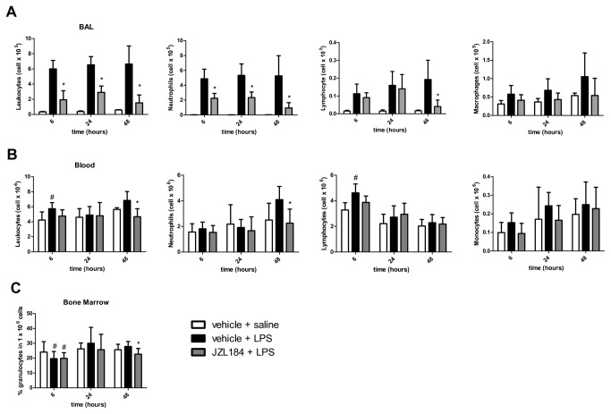 JZL184 effects in leukocyte migration into the lungs.(A) Total and differential leukocyte count in the bronchoalveolar lavage fluid, (B) Total and differential leukocyte count in the blood and (C) Percentage of granulocytes in the bone marrow. Data are presented as mean ± S.D., n=5-9 mice/group. *p<0.05, in relation to C2 group and #p<0.05 in relation to C1 group. One-way ANOVA and Tukey-Kramer tests.