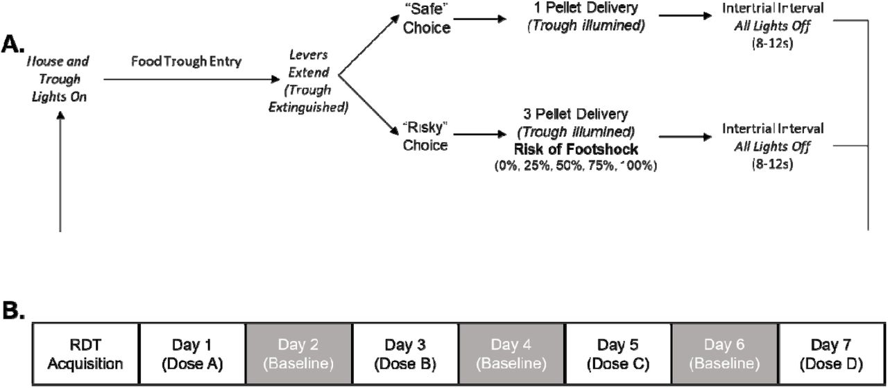 Risky decision-making task schematic and experimental timeline. (A) Visual representation of the Risky Decision-Making Task protocol adapted with permission from Gabriel et al. (2019). (B) Experimental timeline for pharmacological manipulations following acquisition of the Risky Decision-Making Task. Baseline days represent washout periods where no drugs were administered prior to behavioral testing.