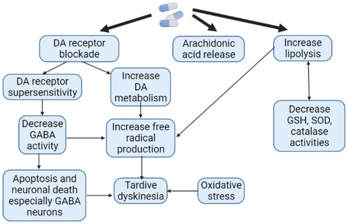Pathogenesis of antipsychotic-induced tardive dyskinesia (Adapted from [119], Copyright year 2016, J. Exp. Pharmacol): Note: DA—dopamine; GABA—gamma aminobutyric acid; GSH—glutathione; SOD—superoxide dismutase.