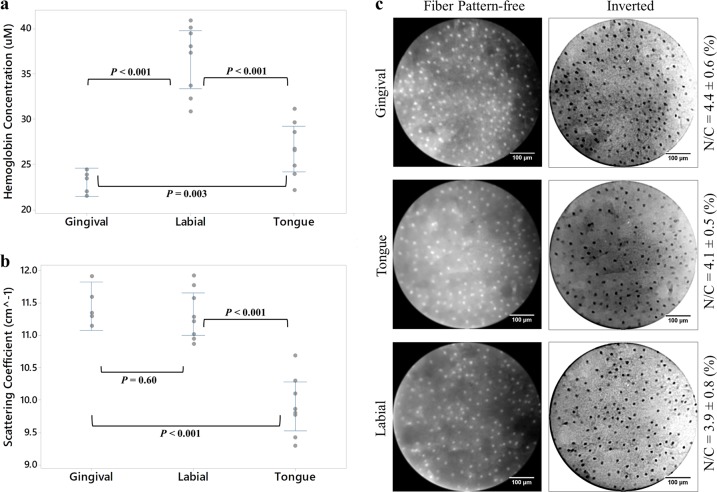 Interval plots of the (a) extracted total hemoglobin concentration and (b) extracted wavelength-averaged reduced scattering coefficient for three oral tissue types (gingival, labial and tongue). Each dot represents an average of 5 repeated measurements from the same tissue site. The p-values were calculated using a two-sided student t-test at a significance level of 5%. (c) Representative, fiber pattern-removed fluorescence images of the three oral tissues and the inverted images were used for the N/C calculation.