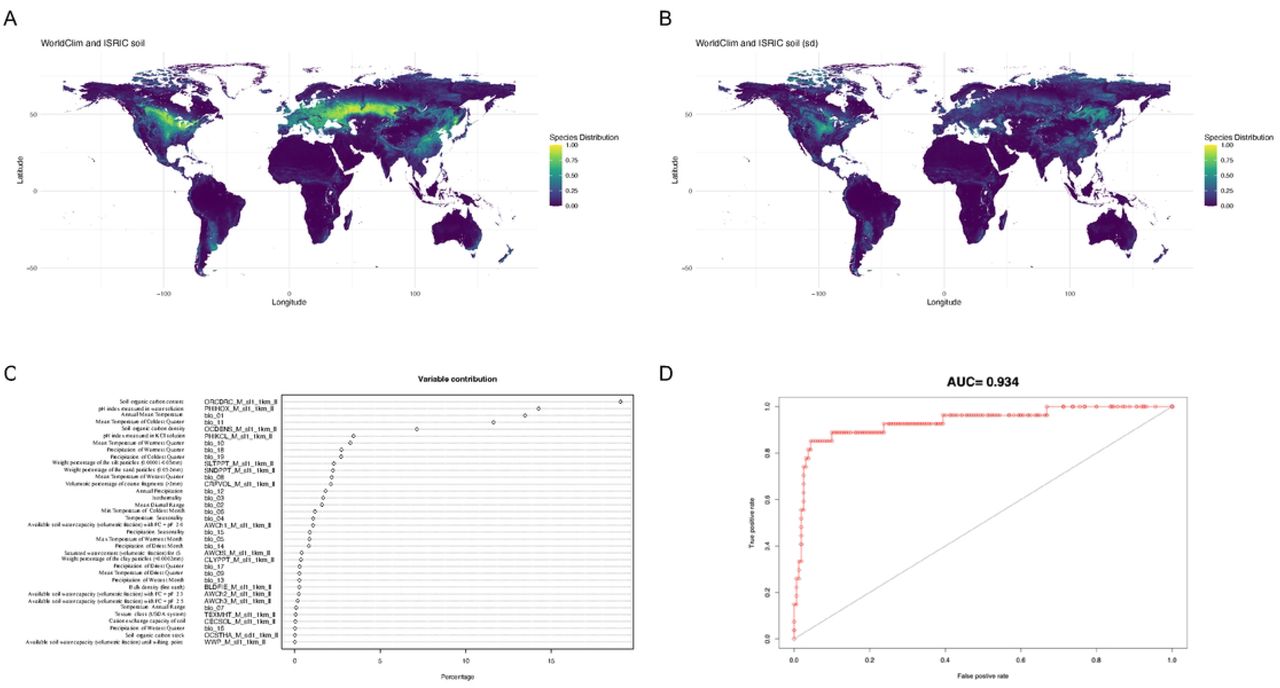 Maxent generated mean of WorldClim Bioclimatic (temperature and precipitation) variables and ISRIC soil variables for the present day together (A) Maxent generated suitability map for Cannabis cultivation worldwide for the present day using WorldClim version 2 climatic and ISRIC soil variable data compiled (B) Standard deviation for the merge of the WorldClim and ISRIC SoilGrid variables together. (C) Variable contribution of the WorldClim and ISRIC SoilGrid variables together (D) AUC for the model