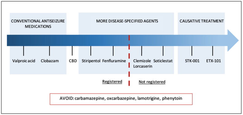 The landscape of Dravet Syndrome management.