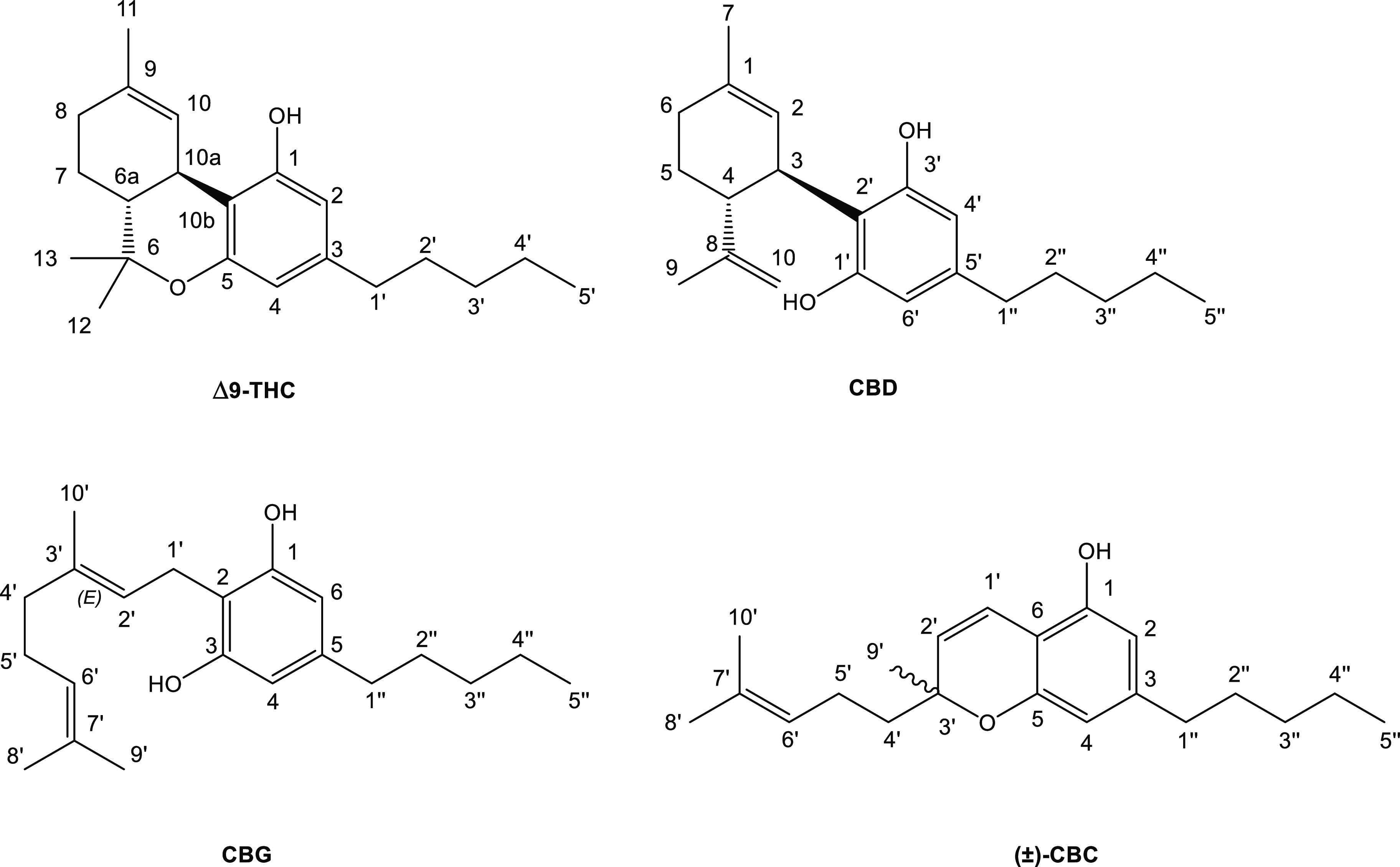 Four main phytocannabinoids and their numbering system.
