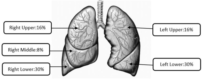 Average lobular deposition for all e-liquids.