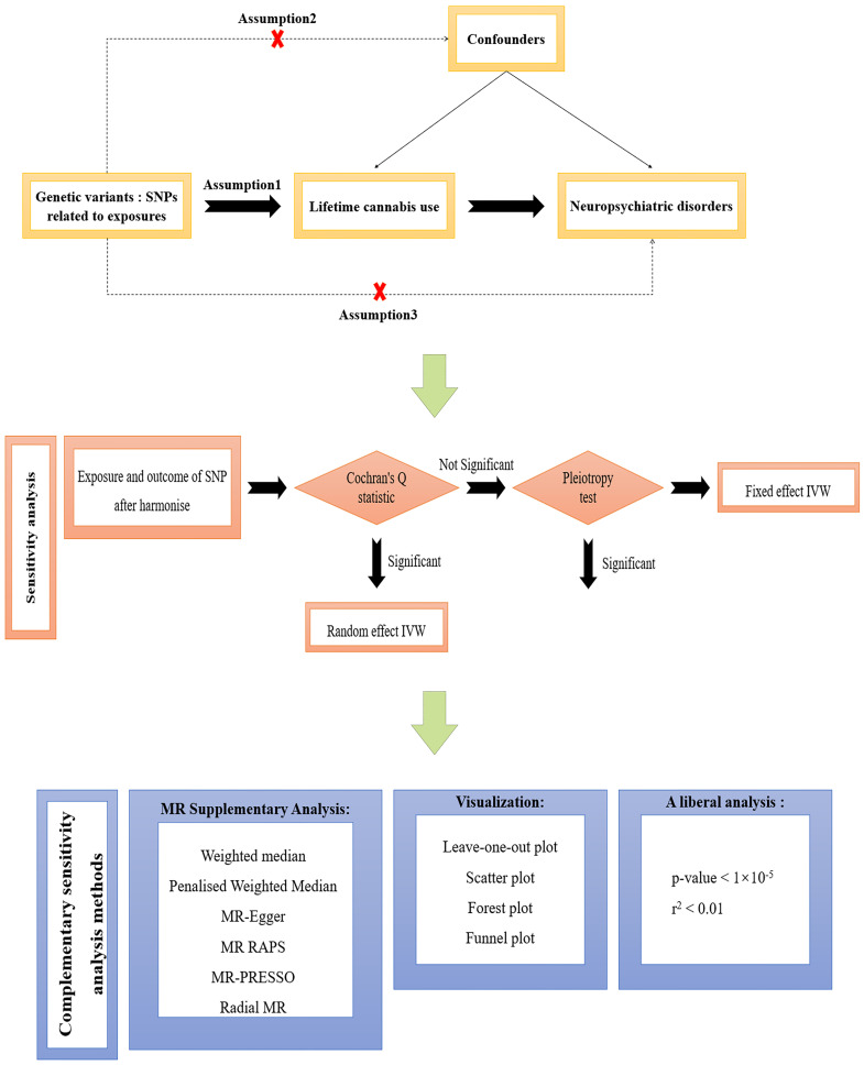 A sketch of the overall study design in this two-sample MR study. Lifetime cannabis use was used as the exposure and neuropsychiatric disorders were used as the outcome. Assumption 1, Assumption 2, and Assumption 3 represent the three key assumptions of Mendelian randomization. MR, Mendelian randomization study; SNP, single nucleotide polymorphism; RAPS, robust adjusted profile score; MR-PRESSO, mendelian randomization pleiotropy residual sumand outlier; IVW, inverse variance weighted.