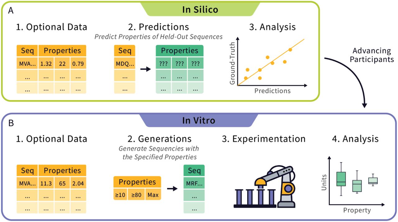 Overview of Tournament Rounds.The tournament consists of two rounds: (A) the in silico round, where participants predict properties from protein sequences, with optional training data, and (B) the in vitro round, where participants generate protein sequences that possess a desired set of properties which are then to be expressed and characterized. Initial interest in the pilot tournament led to the registration of over 90 individuals assembled into 28 teams, representing a mix of academic (55%), industry (30%), and independent (15%) teams. For the in silico round, 7 teams successfully submitted predicted properties (Supp. Table 1). Teams that performed well in at least one in silico event were invited to participate in the in vitro round (See Methods). The in vitro round consisted of 5 teams that advanced from the in silico round and 2 generative teams that were invited to participate (Supp. Table 1).