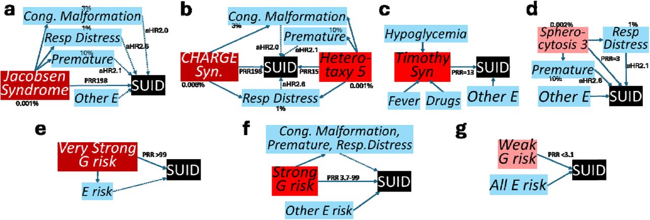 Graphs of integrated G x E models of causal association of SUID.Arrows with solid lines represent direct associations and those with dotted lines represent associations subsumed by a direct association. Birth prevalence (%) is indicated. Risk magnitudes are indicated by prevalence risk ratios (PRR) for G factors and cohort adjusted hazard ratios (aHR) for E factors (from Table 1). a Infant 1235114 with Jacobsen syndrome, a very strong SUID risk factor, considered sufficient for SUID alone. It is causally associated with congenital anomalies, respiratory distress syndrome, and premature birth. E SUID risk factors were considered subsumed to Jacobsen syndrome for SUID causality. b Infant 1253290 with two very strong SUID risk factors (CHARGE syndrome, Heterotaxy 5). Both are associated with congenital anomalies and respiratory distress syndrome, and Heterotaxy with premature birth. These and all other E SUID risk factors were considered subsumed to the G factors for SUID causality. c Infant 1229840 with a strong SUID risk factor (a VUS in CACNA1C, the causal gene in Timothy syndrome). The E factors fever, infection, hypoglycemia and various drugs, modify Timothy syndrome-associated SUID risk. d Infant 1253265 with Spherocytosis 3, a weak SUID risk factor that is associated with premature birth and respiratory distress. However, given the relatively weak G risk, all E factors were retained. e-g Causal G x E models for SUID cases with very strong (e), strong (f), and weak (g) G risk.