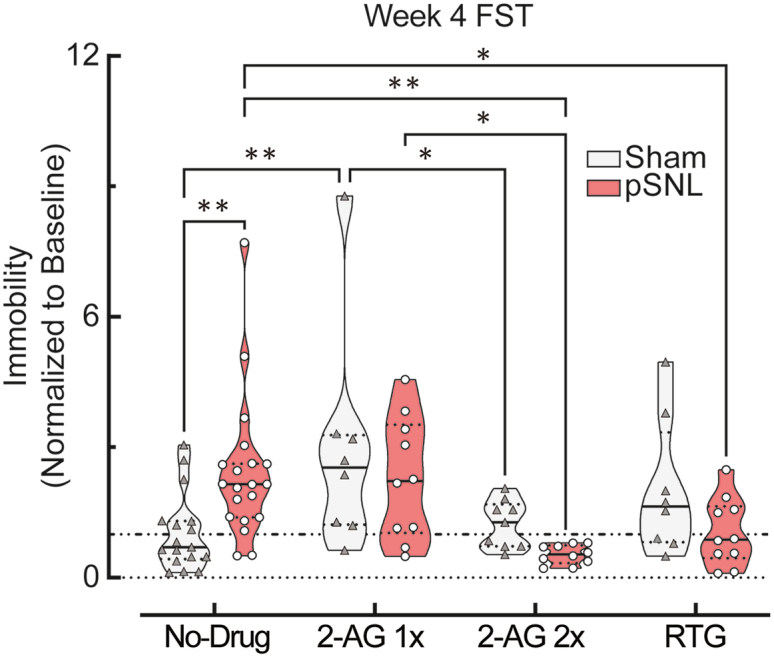 Pharmacological restoration of 2-AG or Kv7 channel function reverses passive coping behaviorResults from the forced swim test (FST) in male mice at week 4 (WK4) post-surgery. The mice received systemic treatment of either two sequential doses of 2-AG (10 mg/kg, i.p.; administered 60 and 15 min prior to testing), a single dose of 2-AG (10 mg/kg, i.p.; administered 15 min prior to testing) or the Kv7 channel opener retigabine (RTG; 10 mg/kg, i.p.; 15 min prior). Data are normalized to baseline immobility. A 2W ME ANOVA followed by a Tukey’s multiple comparison test identified a significant interaction between treatment and pSNL-induced passive coping behavior (F [3,49] = 6.898, ∗∗∗p = 0.0006). Post-hoc analysis revealed that both the 2-AG sequential doses (∗∗p = 0.0011) and RTG (∗p = 0.0173) significantly reduced immobility time in male pSNL mice relative to their untreated WK4 FST. A single dose of 2-AG was found to be less effective (∗p = 0.0265). In the violin plot, solid lines depict the median, and dashed lines indicate quartiles. Sample sizes: n = total mice. Total cohort: male sham, n = 17; male pSNL, n = 20. Single dose 2-AG: sham, n = 8; pSNL, n = 10. Two sequential doses 2-AG: sham, n = 9; pSNL, n = 10. RTG: sham, n = 8; pSNL, n = 10.