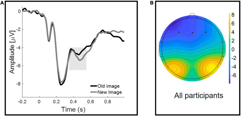 Frontal Negativity for Old/New effect reflecting familiarity. (A) Grand-averaged waveforms at a representative frontal cluster for correctly recognized old and new images. The shaded area represents the early (350–550 ms) time window used for the analyses. (B) Scalp topographies of the mean activity in 350–550 ms time window.