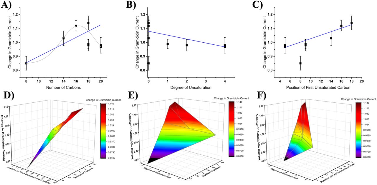 2-D linear correlation and 3D Color Surface Maps of effect of gramicidin currents vs endocannabinoid structural characteristics (2-MGs).Change in gramicidin at +150 mV current plotted versus endocannabinoid properties number of carbons A) degree of unsaturation B) and the position of the first unsaturated carbon C). Change in gramicidin current had a linear correlation with the degree of unsaturation (P < 0.05) and the position of the first unsaturated bond (P < 0.001). Change in gramicidin current also linearly correlated with the number of carbons (P < 0.001) and less well with a non-linear gaussian fit (grey) (λ2 = 4.4). 3D surface plots of change in gramicidin current at +150 mV vs D) position of first unsaturated bond and carbon tail length E) number of unsaturated bonds and carbon tail length F) number of unsaturated bonds and position of first unsaturated bond. Minimum: 1-OrG, 0.82, C8 position of degree of saturation, 0 degrees of unsaturation and 8-carbon chain length. Maximum: 1-SG: 1.14. C18 position of degree of saturation, 0 degrees of unsaturation and 18-carbon chain length.