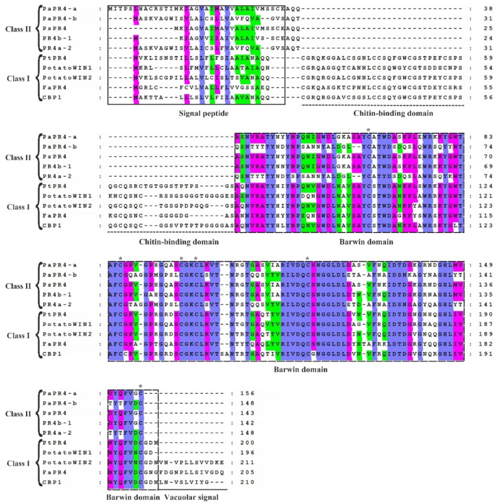 Comparison of the sequences of Class I and Class II PR4 proteins. The sequences of Class I proteins included PtPR4 (Populus trichocarpa; GenBank ID: XP_002319077.1), PotatoWIN1 (Solanum tuberosum L.; GenBank ID: P09761.1), PotatoWIN2 (So. tuberosum L.; GenBank ID: P09762.1), FaPR4 (Ficus pumila var. awkeotsang; GenBank ID: ADO24163.1), and CBP1 (Capsicum annuum; GenBank ID: AAF18934.1). The sequences in Class II proteins included PaPR4-a, PaPR4-b, PsPR4 (Picea sitchensis; GenBank ID: ABK23104.1), PR4b-1 (Pseudotsuga menziesii; GenBank ID: AFD50744.1) and PR4a-2 (Ps. menziesii; GenBank ID: AFD50743.1). The signal peptide, chitin-binding domain, Barwin domain, and vacuolar signal are indicated. The identical, highly similar and similar amino acids are indicated in blue, pink and green, respectively. Six cysteines which are highly conserved within the Barwin domain are indicated by asterisks (*).