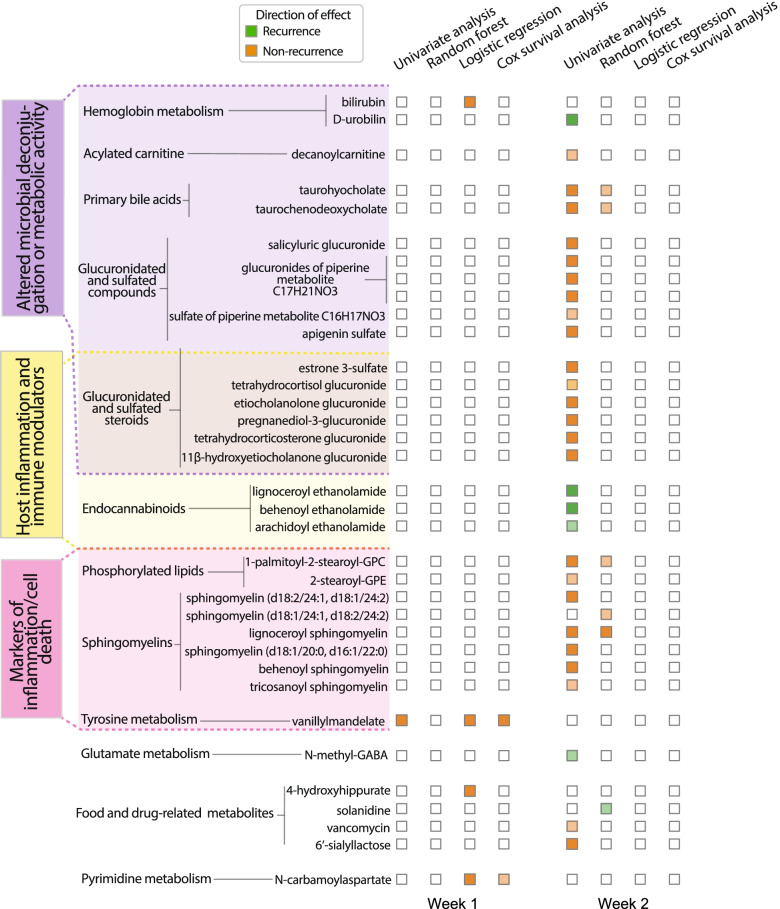 Multiple predictive methods revealed pre-recurrence metabolic alterations mapping to host or microbiome-associated processes. Thirty-seven metabolites were significant in at least one analysis method for distinguishing CDI recurrent versus non-current status. These metabolites fell into one of three categories, reflecting altered host or microbiome activities. Dark orange or green colors indicate significance (FDR < 0.05 in univariate analyses; 95% cross-validated log-odds/feature importance interval not containing 1.0 for predictive models). Light orange or green colors indicate borderline significance (0.05 < FDR ≤ 0.10 in univariate analyses; 75% log-odds/feature importance cross-validated interval not containing 1.0 for predictive models)
