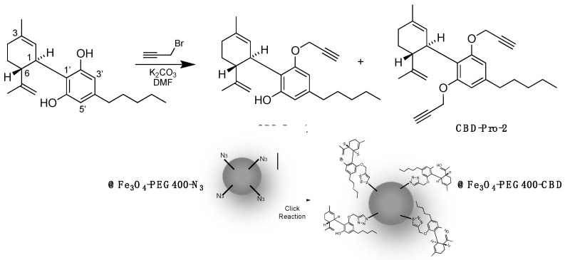 Synthesis of propargyl derivatives of CBD and preparation of @Fe3O4-PEG400-CBD.
