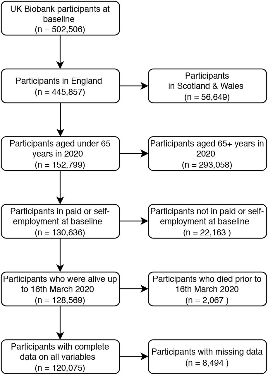 Flow chart of cohort
