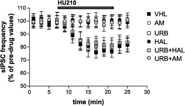 Electrophysiological effects. Stimulation of CB1 receptors with HU210 caused inhibition of striatal GABAergic sIPSCs in the VHL group. AM251 (alone or with URB597) and haloperidol treatments resulted in the suppression of HU210 effects. CB1 receptor sensitivity was rescued when haloperidol and URB597 were coadministered, although URB597 alone did not increase HU210 effects.