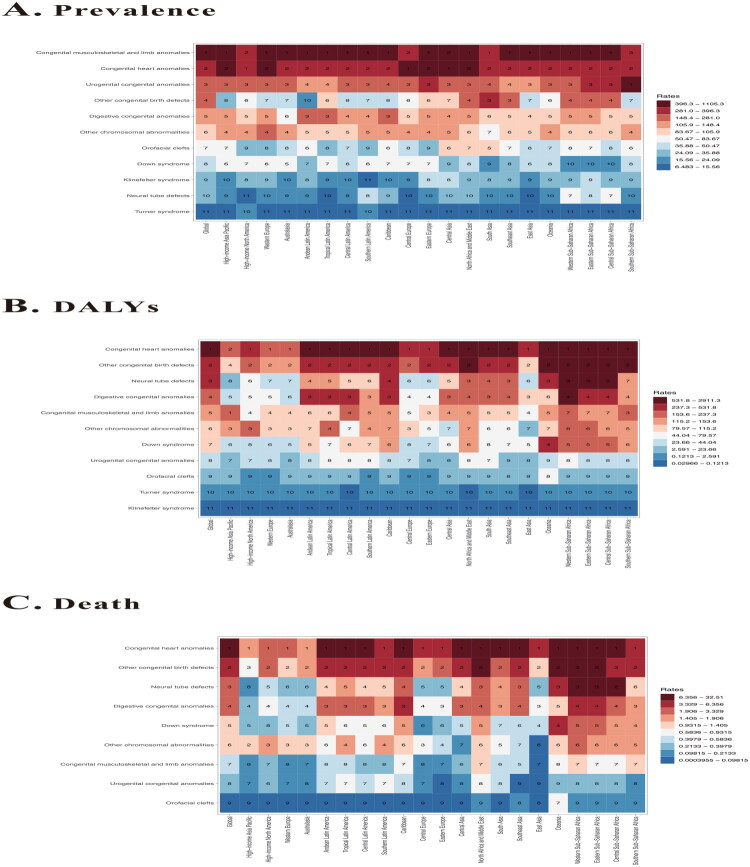 Heatmap of congenital birth defects subtypes by Prevalence, DALYs, and death across 21 regions in 2021. (A) represents Prevalence, (B) represents DALYs, (C) represents death.