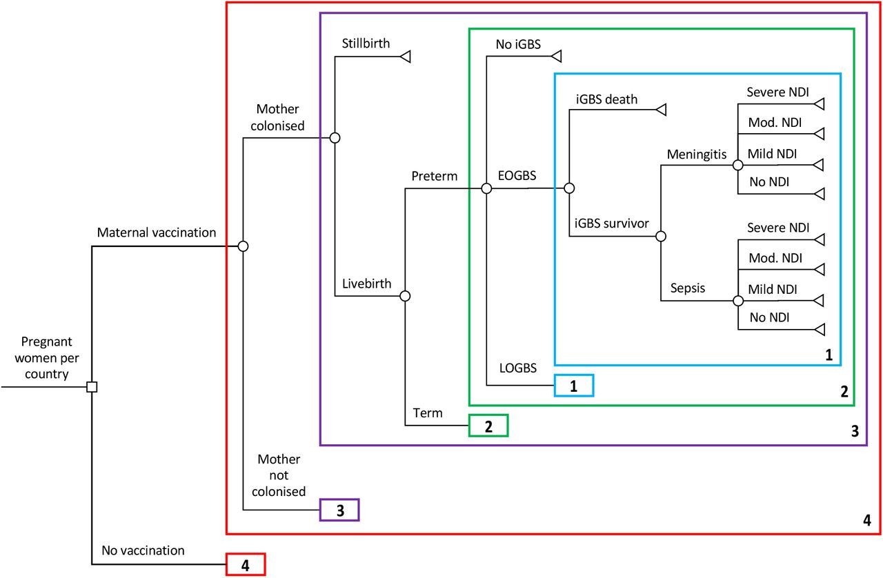 Decision tree for GBS-related outcomes in children for an annual birth cohort in 183 countries comparing maternal vaccination against no vaccination (current standard of care)Numbered boxes represent repeated model structure, however the risks for some outcomes vary across repeated branches.