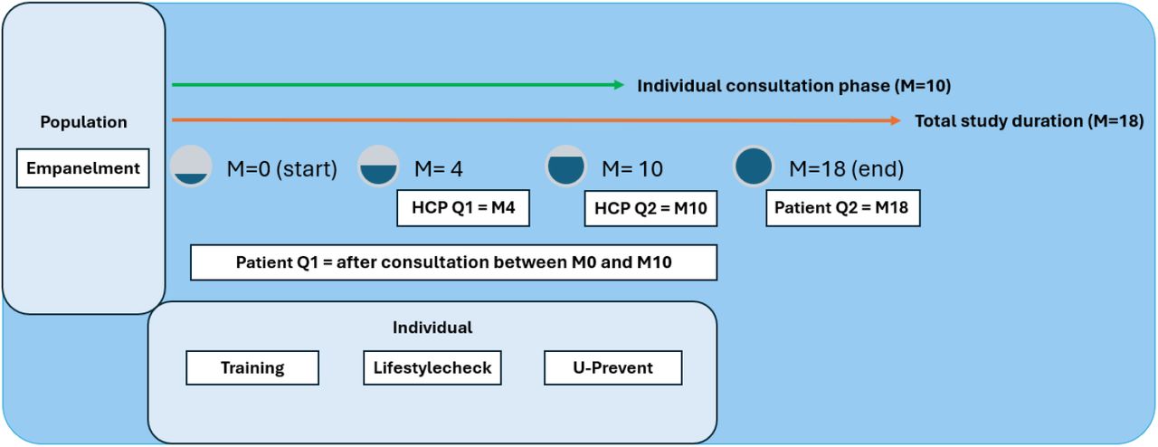 Timeline of study procedures for healthcare professional (HCP) and patient per month (M)