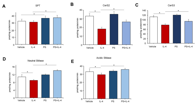 N-palmitoyl serinol (PS)-mediated alteration in activities of key enzymes responsible for ceramide synthesis. HaCaT KC were pretreated with IL-4 (50 ng/mL) for 20 h, followed by incubation with exogenous PS (25 μM) for 4 h. Serine palmitoyltransferase (SPT) (A), ceramide synthase (CerS) 2 (B), CerS3 (C), neutral sphingomyelinase (SMase) (D), or acidic sphingomyelinase (SMase) (E) were measured by the LC-MS/MS system. Statistical significance was calculated using the unpaired Student’s t-test, and significance was defined as * p < 0.01 vs. vehicle control (or untreated control).