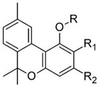 pharmaceutics-13-01823-i006.jpg
